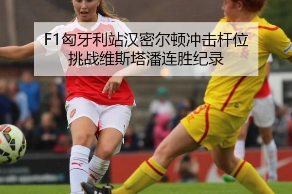 xiong-ya-li-zhan-han-mi-er-dun-chong-ji-gan-wei-tiao-zhan-wei-si-ta-pan-lian-sheng-ji-lu-2-501.jpg